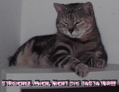 Babe'Streichel mich!'