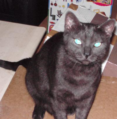 Schau mir in die Augen