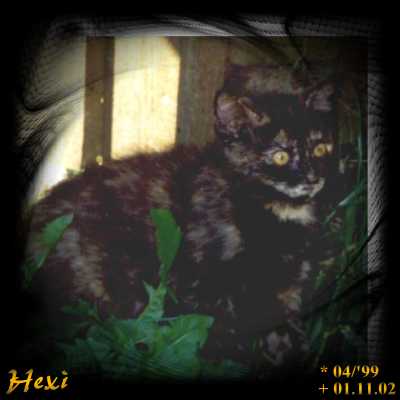 Hexi