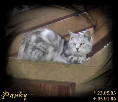 Panky