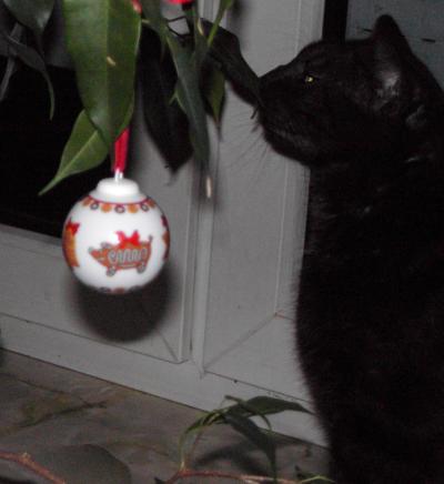 ich bin der Beste, Schnste und berhaupt