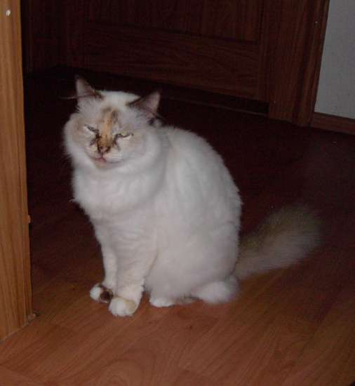 Schliessen von 017.jpg