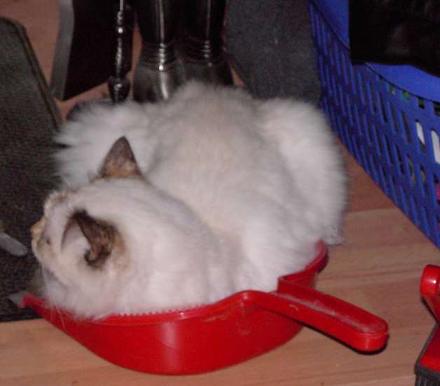 Schliessen von 032.jpg