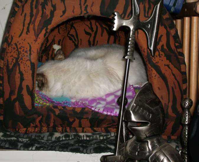 Schliessen von 039.jpg