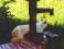 Bild#7(ALAlicegarten11.jpg)