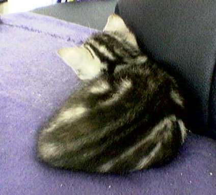 Schliessen von 004.jpg