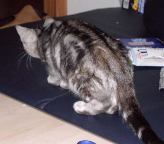 Schliessen von 022.jpg