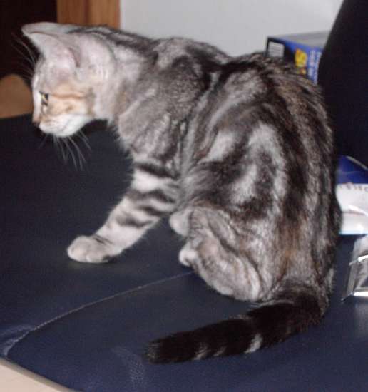 Schliessen von 023.jpg