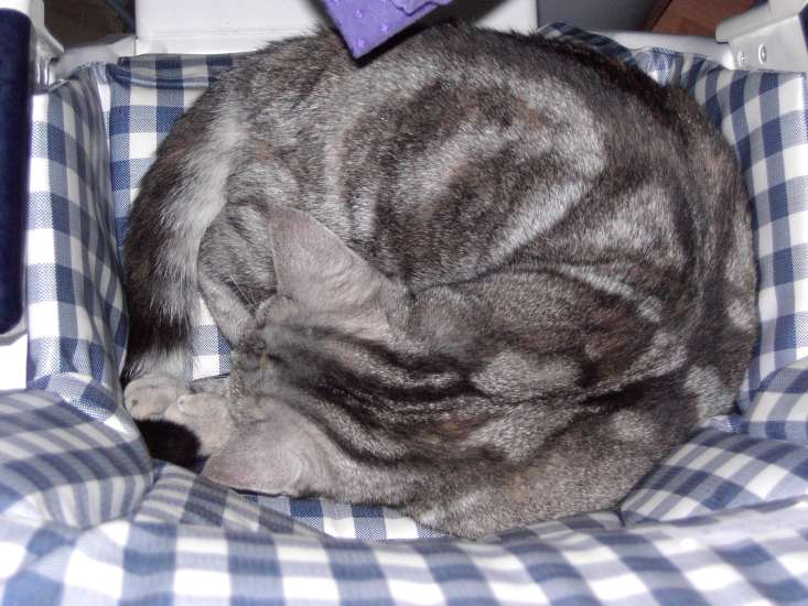 Schliessen von 025.jpg