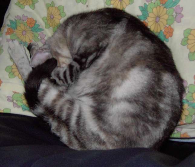 Schliessen von 032.jpg