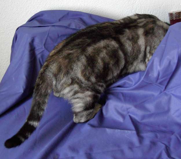 Schliessen von 037.jpg