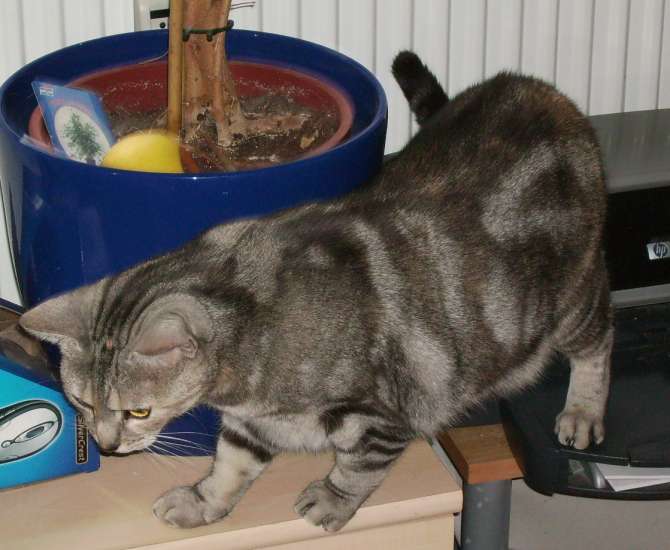 Schliessen von 042.jpg