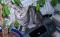 Bild#39(baby.jpg)