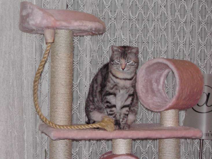 Schliessen von 017.jpg