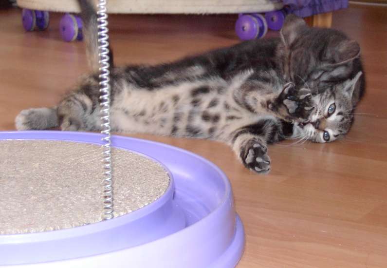 Schliessen von 035.JPG