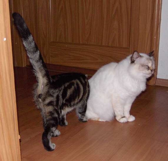 Schliessen von 047.JPG