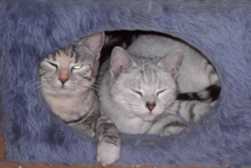 Schliessen von 055.JPG