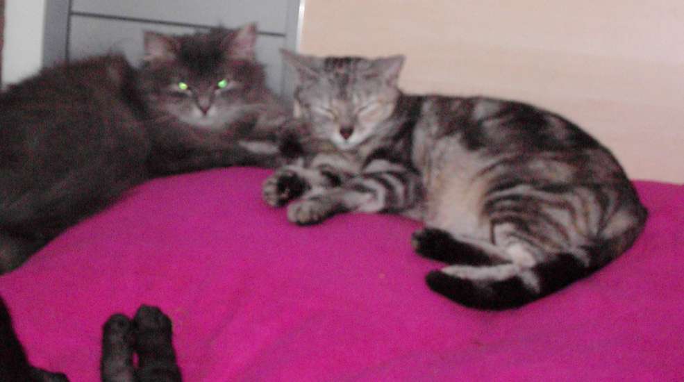 Schliessen von 087.jpg