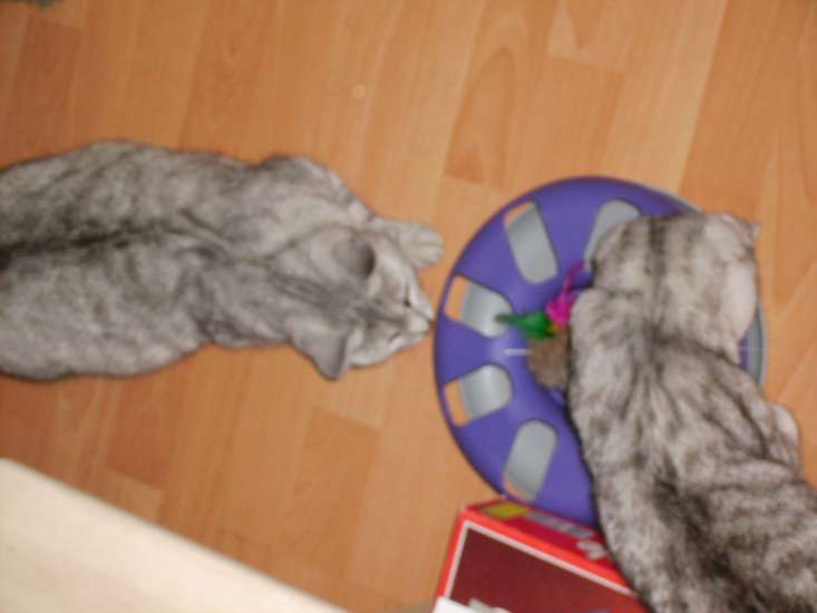 Schliessen von 088.jpg