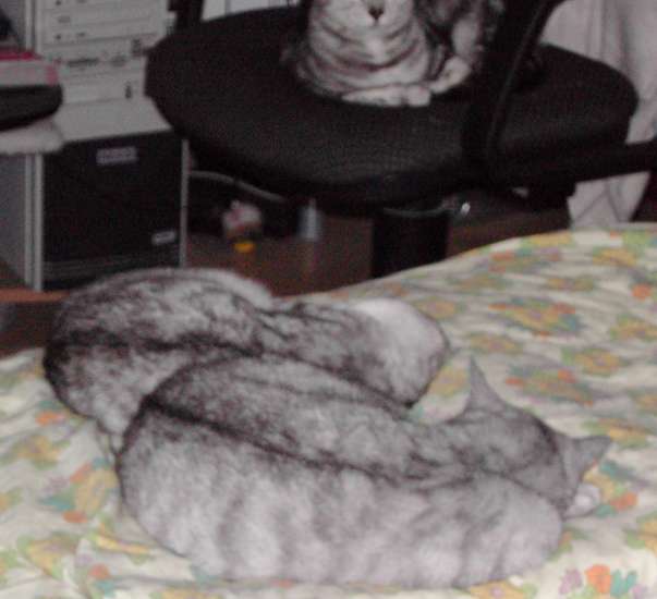 Schliessen von 097.jpg
