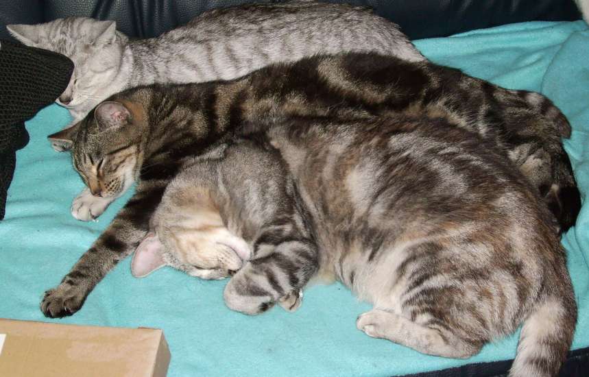 Schliessen von 105.jpg