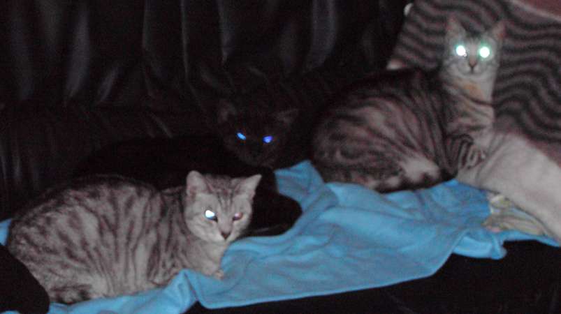 Schliessen von 110.jpg