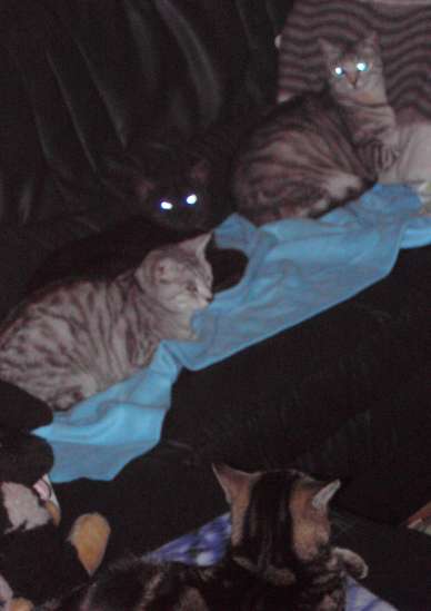 Schliessen von 111.jpg