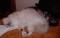 Bild#11(012.JPG)