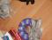 Bild#88(089.jpg)