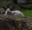 Bild#7(003.jpg)