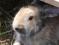 Bild#4(005.jpg)