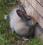 Bild#8(010.jpg)