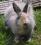 Bild#5(012.jpg)