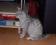 Bild#1(006.jpg)