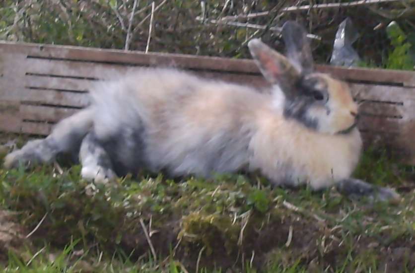 Schliessen von 004.jpg