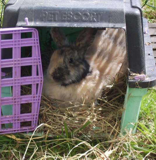 Schliessen von 006.jpg