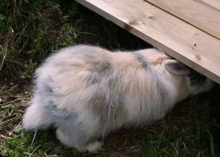 Schliessen von 020.jpg