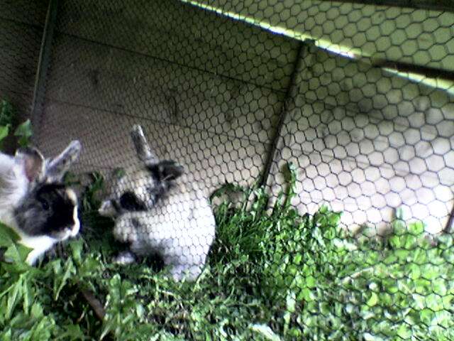 Schliessen von 003.jpg