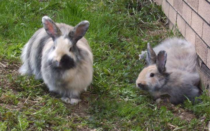 Schliessen von 049.jpg