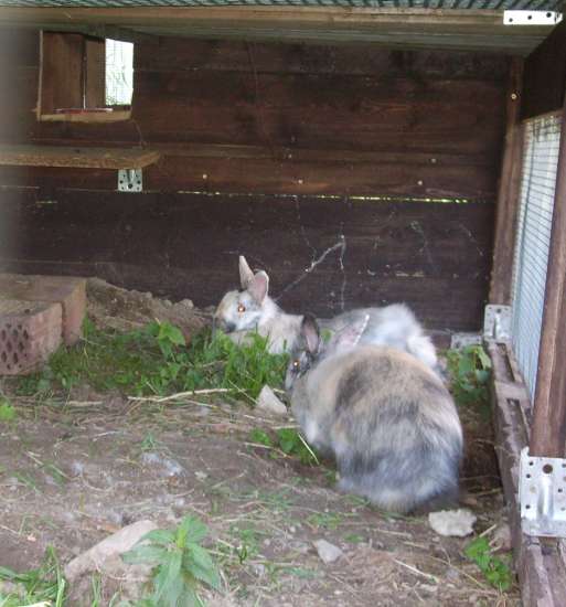 Schliessen von 054.jpg