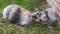 Bild#1(048.jpg)