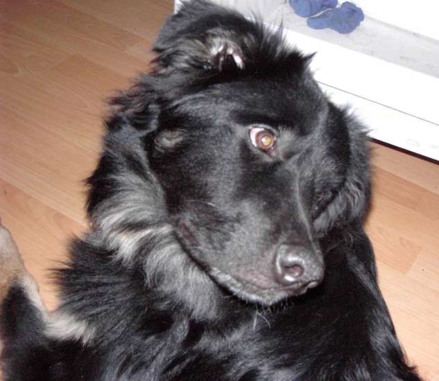 Schliessen von 008.JPG