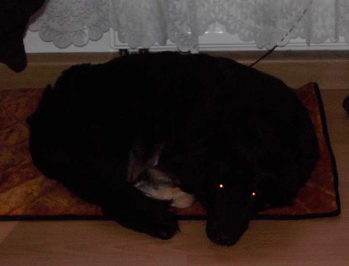Schliessen von 011.jpg