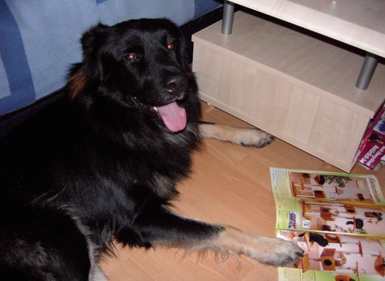 Schliessen von 023.jpg