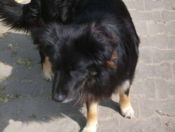 Schliessen von 045.jpg