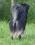 Bild#56(050.jpg)