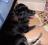 Bild#70(nico10.jpg)