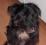 Bild#10(nico5.jpg)