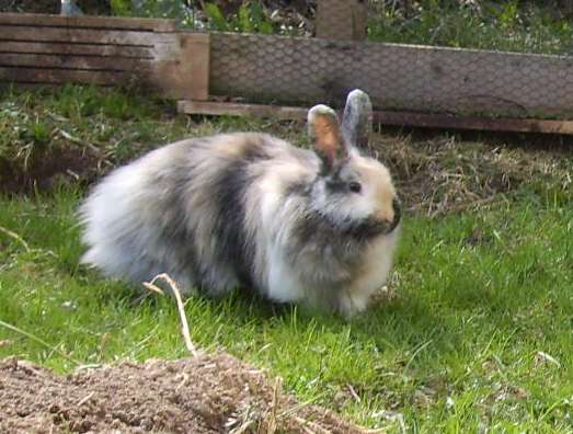 Schliessen von 010.jpg