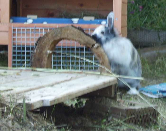 Schliessen von 045.jpg